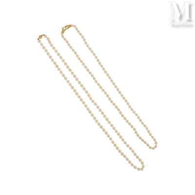 a white pearl necklace with a gold clasp on a white background
