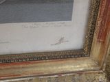 a picture of a picture of a bird in a picture frame
