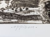 Photo 3/4 du lot