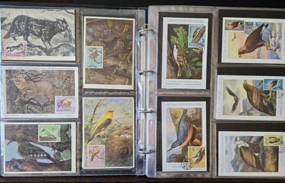beaucoup de timbres à l'intérieur d'un classeur