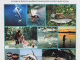 978 - l ' univers de la peche french edition