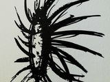 a black and white drawing of a flower on a wall