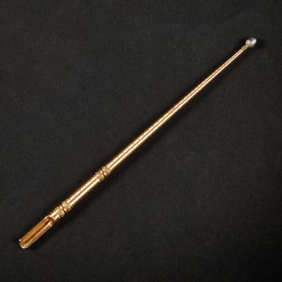 Fin porte-plume à corps fuselé,