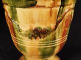 a vase that has a plant in it on a table