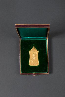a close up of a gold medal in a green box