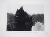 une photo en noir et blanc d'un arbre d'où s'échappe de la fumée