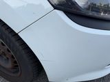 a close up of a car ' s front bumper with a cat on it