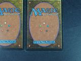 pair of magic the gathering deck protectors for deckmaster