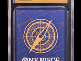 an image of a one piece card game in a plastic case