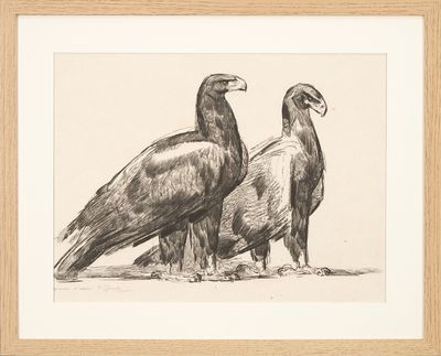 deux oiseaux qui se tiennent l'un à côté de l'autre