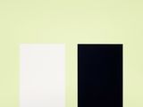 an image of two black and white square paintings on a green wall