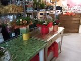 many different types of flowers on the counter in this store