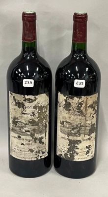 deux bouteilles de vin rouge posées l'une à côté de l'autre sur une surface blanche