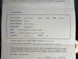 a document that has been placed on a table