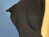 a woman in a black dress with a gold neck tie