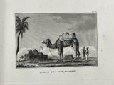 a drawing of a camel with a saddle on its back