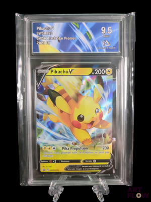 La carte Pokémon est présentée dans un étui en plastique transparent.