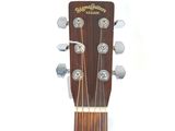 an image of a close up of a guitar headstock on a white background