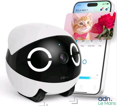 a cat that is sitting next to a cell phone