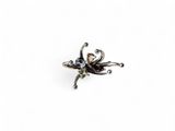 a close up of a flower broochle on a white background