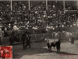 photo en noir et blanc d'un taureau et d'un homme dans une arène