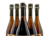 six bouteilles de vin sont alignées sur une surface blanche