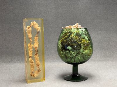 Collier dans résine "Hommages et remerciements du Club Médit…