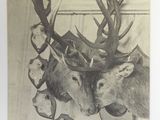 Photo 23/26 du lot