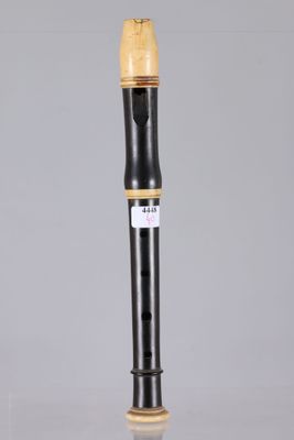 side view of a musical instrument showing the body of the instrument