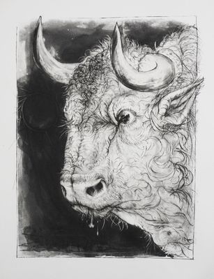 an image of a drawing of a bull with long horns