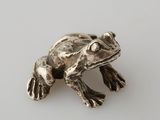 silver frog broochle on a white surface