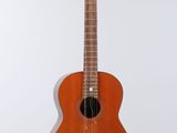 an image of a guitar hanging on a wall with a white background