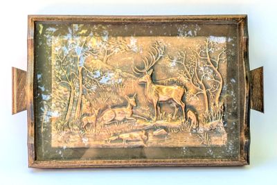 une photo d'une photo d'un cerf dans les bois
