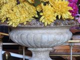 many flowers in a vase sitting on a table