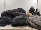 a teddy bear that is laying down on a shelf