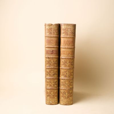 deux vieux livres sont empilés l'un sur l'autre sur une surface blanche