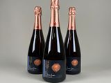 trois bouteilles de champagne sur fond gris
