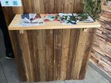 un comptoir en bois sur lequel est posée une plante