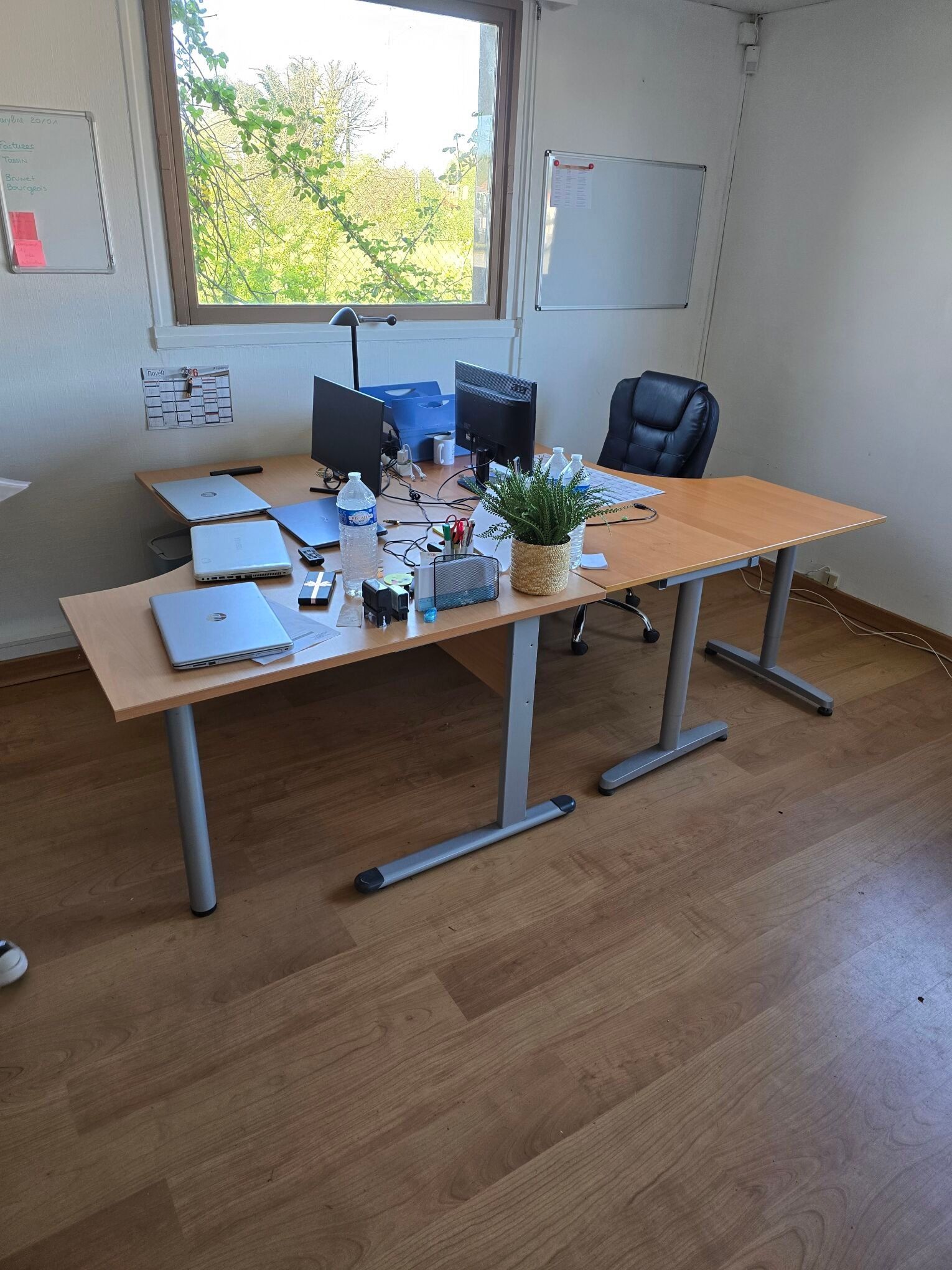 Objets d'art & Curiosités