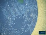 the cover of a book with a picture of a blue planet and a yellow background