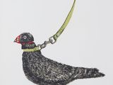 drawing of a bird with a leash attached to it ' s neck