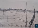 pencil drawing of a beach with a fence and trees in the foreground