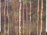 an oil painting of a forest scene with trees in the foreground