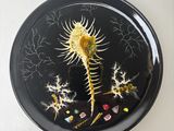 une assiette noire ornée d'un hippocampe, accrochée à un mur blanc