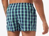 a man wearing a blue and green plaid boxer shorts