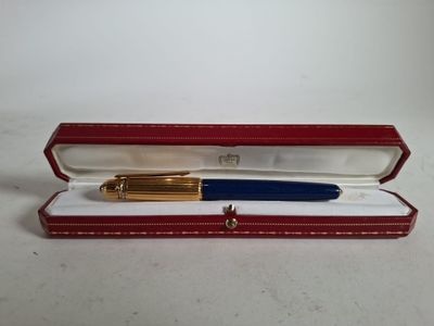 un stylo dans un étui rouge avec un manche bleu