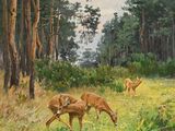 un tableau représentant des cerfs paissant dans un champ d'herbe
