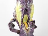 Photo 3/6 du lot