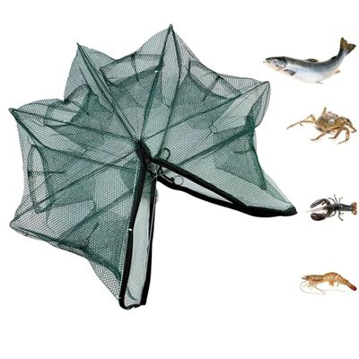 Fil Fluorocarbone Pêche Stealth-Mode 50m AMZfishing - 100% Fluorocarbone Invisible - Bas De Ligne Pêche