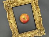 une photo d'une pomme dans un cadre